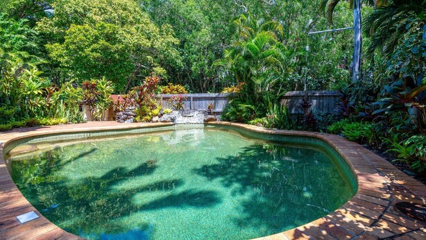 A clear swimming pool surrounded by lush greenery and a wooden deck.
