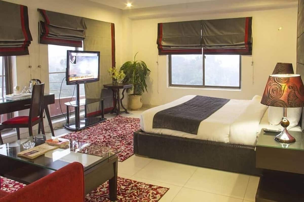 Hotelkamer met een bed, bureau, stoel, televisie en een bloempot.