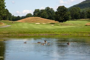 Golf - Family friendly Condo on Okemo Shuttle Route just minutes from Okemo (Ludlow)