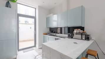 Basic Apartment, 1 King Bed with Sofa bed | Private kitchen | Fridge, microwave, oven, stovetop