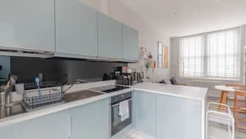 Basic Apartment, 1 King Bed with Sofa bed | Private kitchen | Fridge, microwave, oven, stovetop