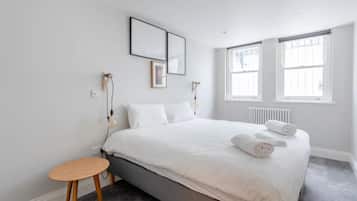 Basic Apartment, 1 King Bed with Sofa bed | 1 bedroom, iron/ironing board, bed sheets