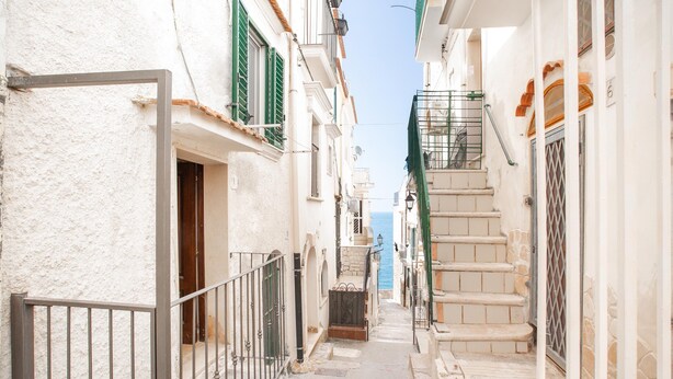 Una calle estrecha flanqueada por edificios, una reja de metal y una escalera que sube a un nivel superior.
