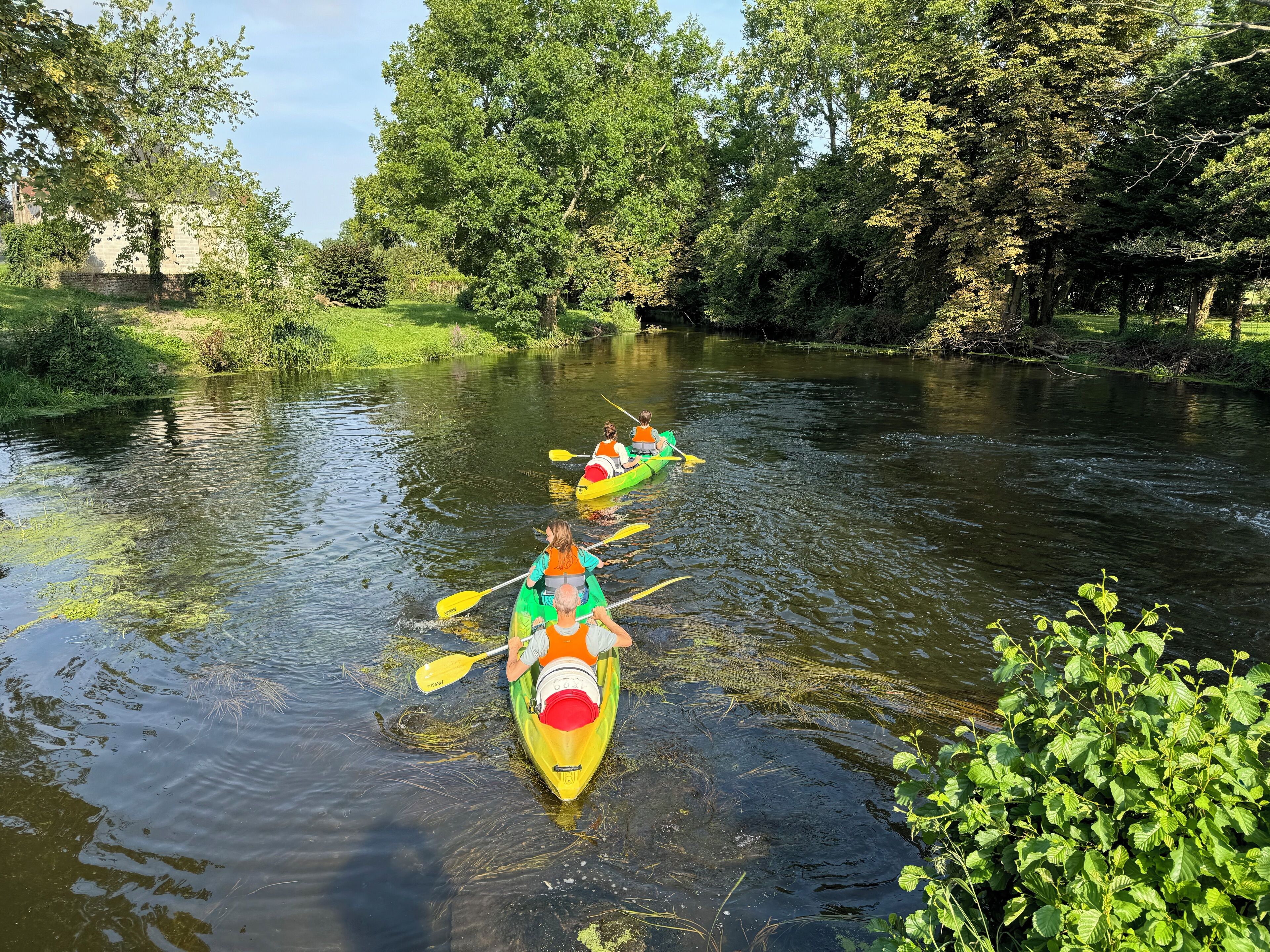 Tres kayaks en un río tranquilo rodeado de abundante vegetación.