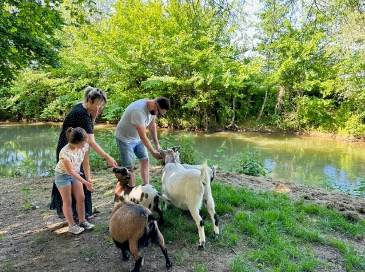 A group of people interacting with goats near a body of water surrounded by greenery.