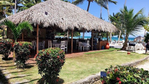 A thatched-roof structure with outdoor seating, surrounded by palm trees and a clear view of the beach.