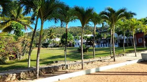 A coastal area with palm trees, a sandy beach, and buildings in the background.