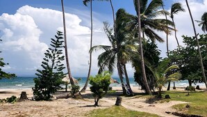 A beach with tall palm trees and a clear blue sky.
