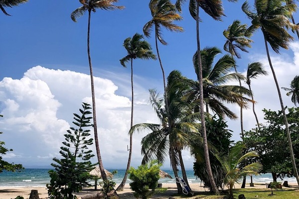 Playa en los alrededores