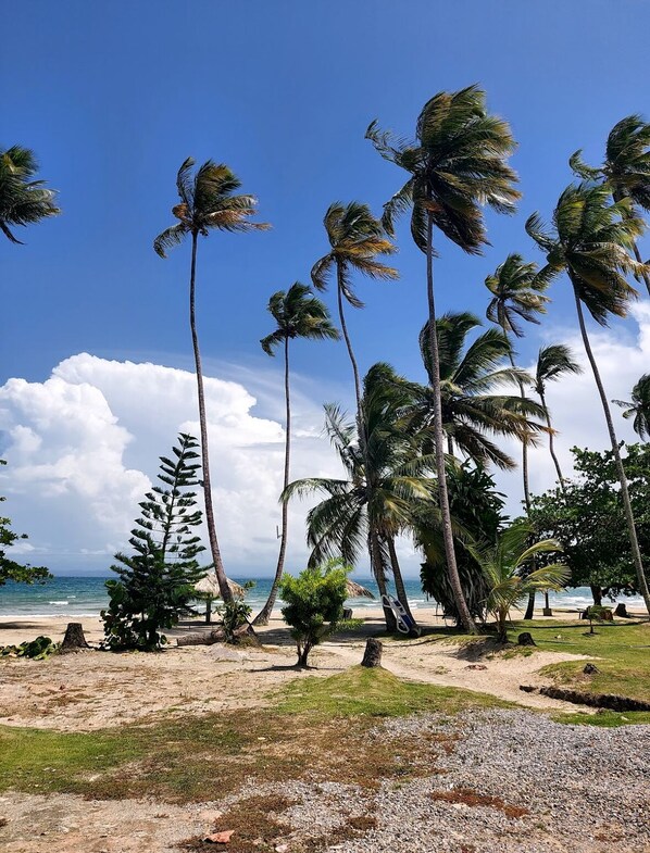 Plage à proximité