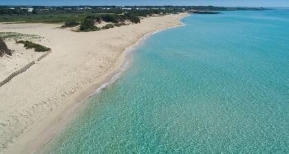 3404 B&B Le Radici Del Salento - Quadrupla Vigna