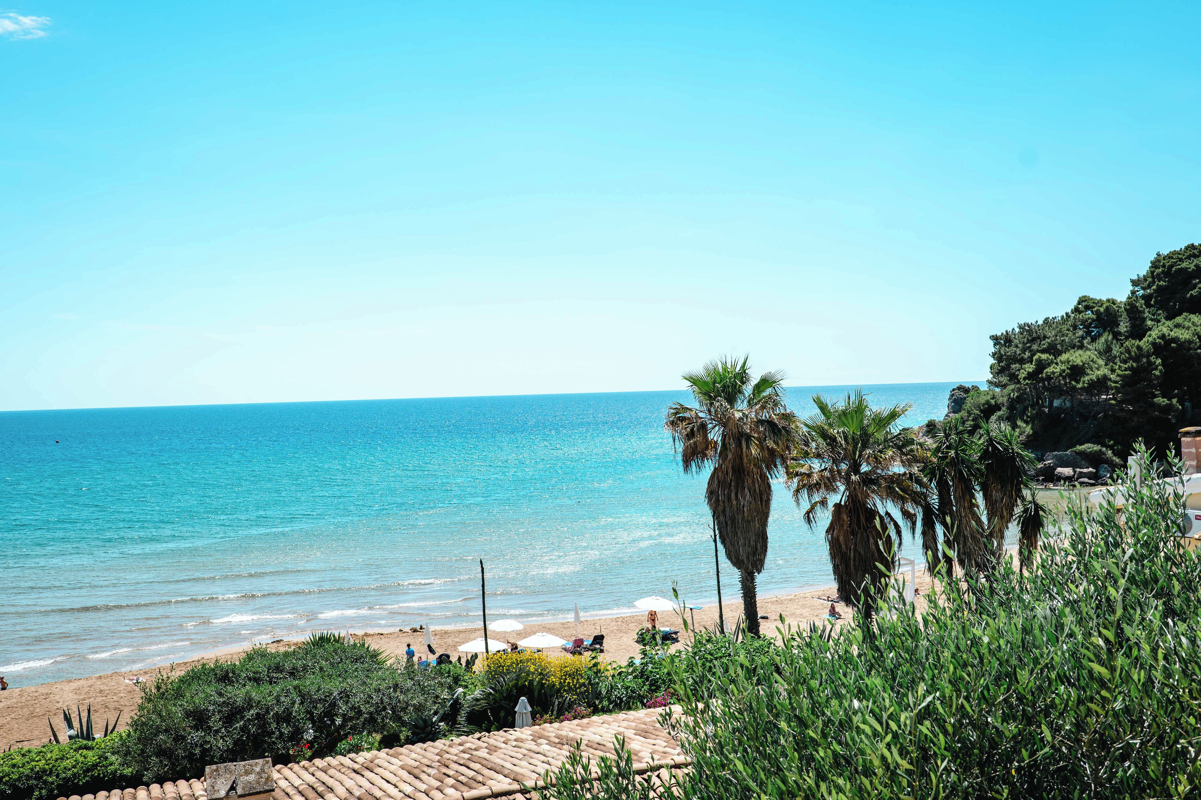 Ein Strand mit Palmen, blauem Himmel und dem Meer.