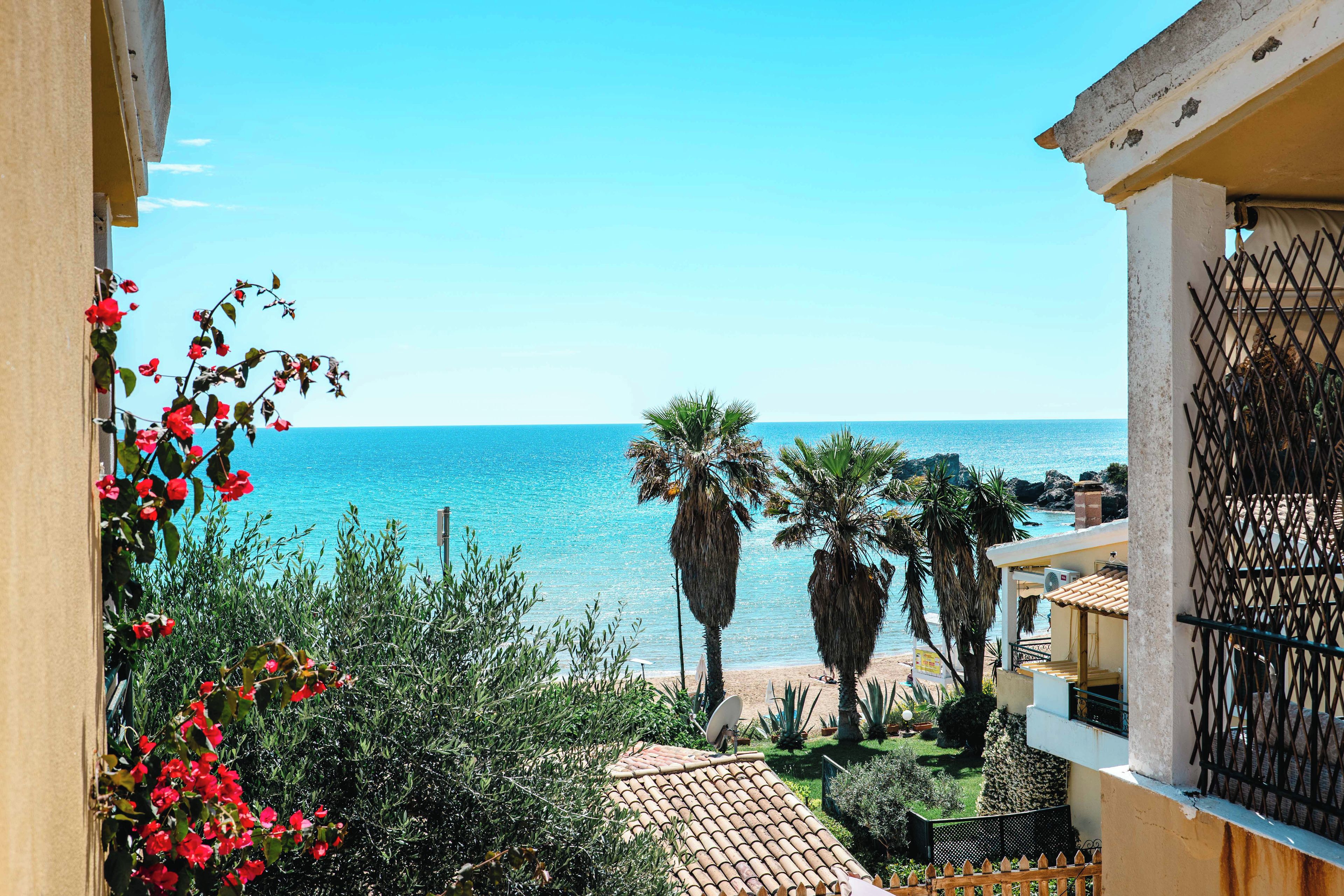 A coastal view with a clear sky, a sandy beach, and vegetation including palm trees and red flowers.