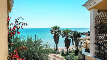 A coastal view with a clear sky, a sandy beach, and vegetation including palm trees and red flowers.