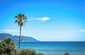 Paisaje costero con una palmera, cielo azul despejado y montañas a lo lejos.