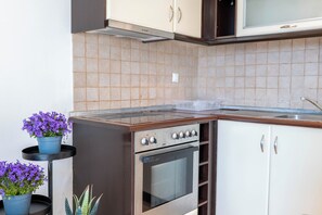 Una cocina con estufa, horno, alacenas y un salpicadero de azulejos.