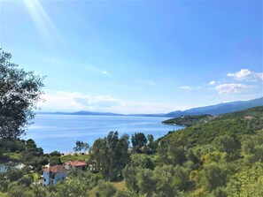 Property grounds - Traditional Luxury House Kedavros (Lefokastro)