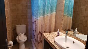 Shower, hair dryer, towels