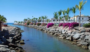 A coastal walkway lined with rocks and palm trees, leading to a beach. - Studio Playa Mogan Center (Lomo Quiebre)