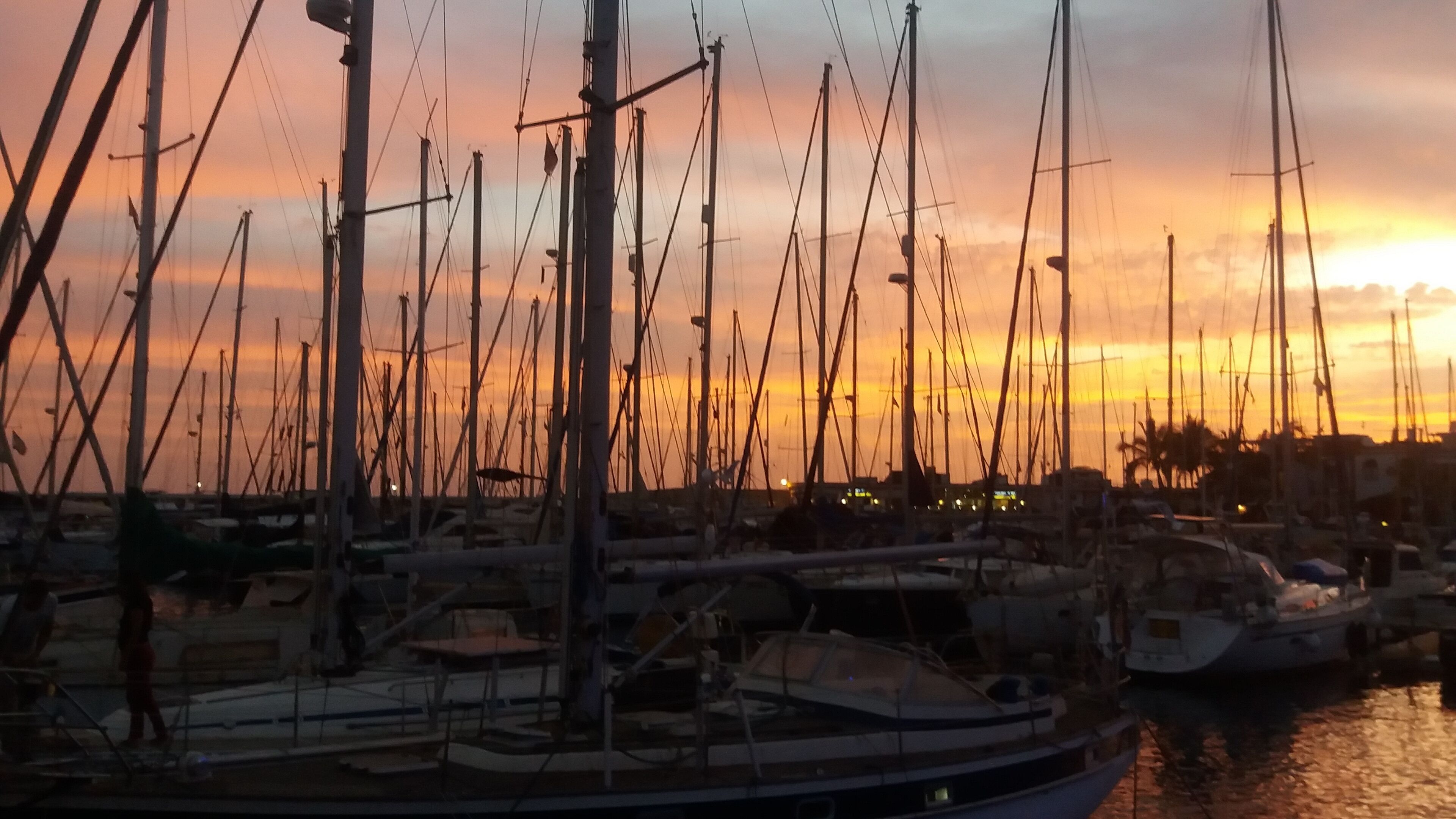 A marina with multiple boats docked, a sunset in the background, and a clear sky.