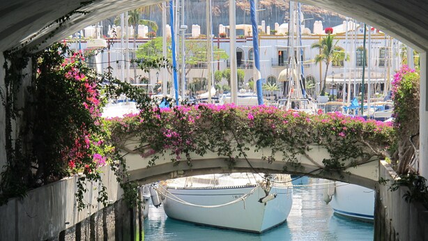 Blick durch eine überdachte Brücke, darunter liegen Boote im Hafen und im Hintergrund eine Marina.