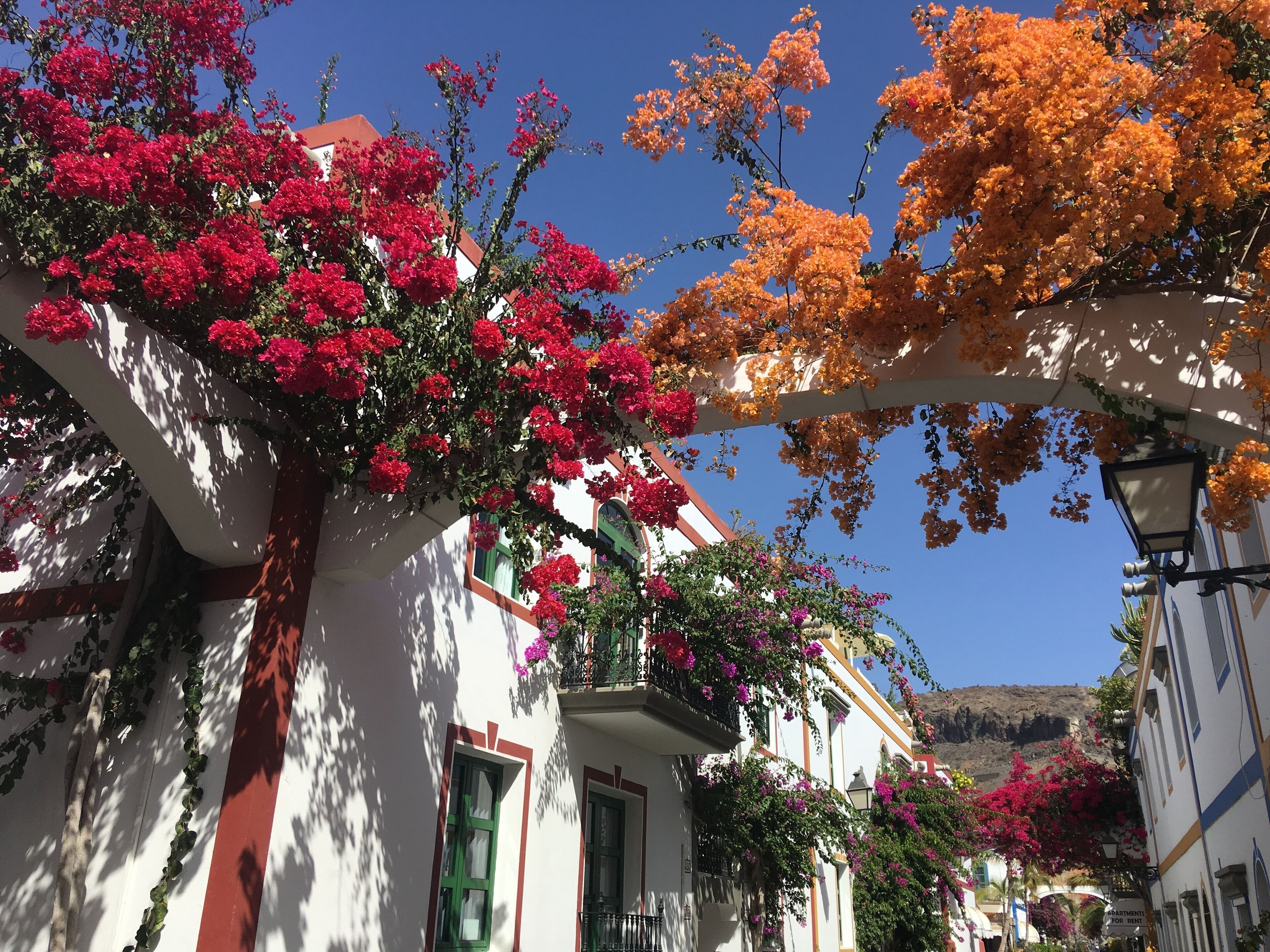 Une rue étroite bordée de bâtiments blancs, dont certains sont agrémentés de balcons ornés de plantes en fleurs.