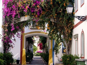 Stroll through this charming alleyway lined with vibrant bougainvillea vines and traditional architecture.