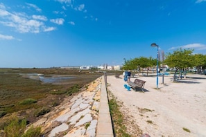 A coastal walkway with a stone path, benches, and trees.
