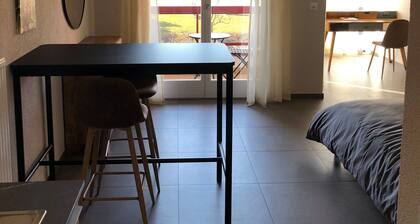 Amazing Studio In Lausanne Close To Epfl and Unil