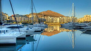 A marina with multiple yachts docked, buildings in the background, and a mountain.