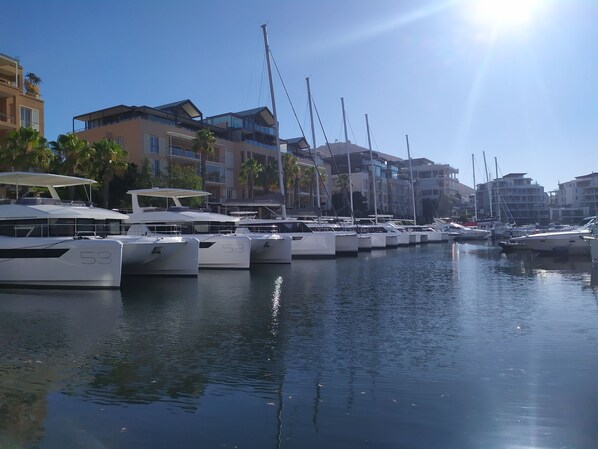 Un port de plaisance où sont amarrés de nombreux yachts, avec des bâtiments en arrière-plan et un ciel dégagé.