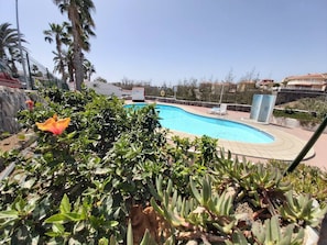 Une piscine entourée d’une végétation luxuriante et de palmiers, sous un ciel bleu azur.