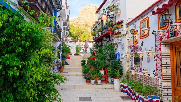 Une ruelle étroite avec des marches menant à un immeuble, le tout étant entouré de verdure et de plantes en pot.