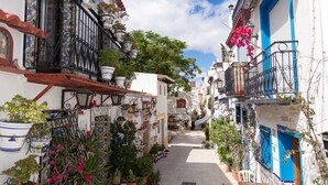 Une rue étroite, dont les balcons sont ornés de plantes en pot et de fleurs.