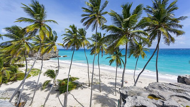 Ein Strand mit weißem Sand, Palmen und klarem, blauem Wasser.