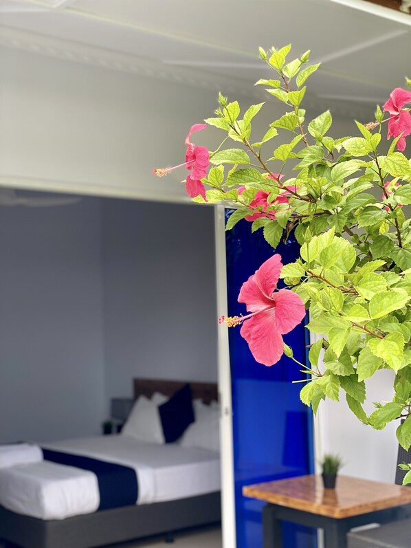 A room with a bed, a small table, and a potted plant with pink flowers. - Tides Dhigurah (Dhigurah)