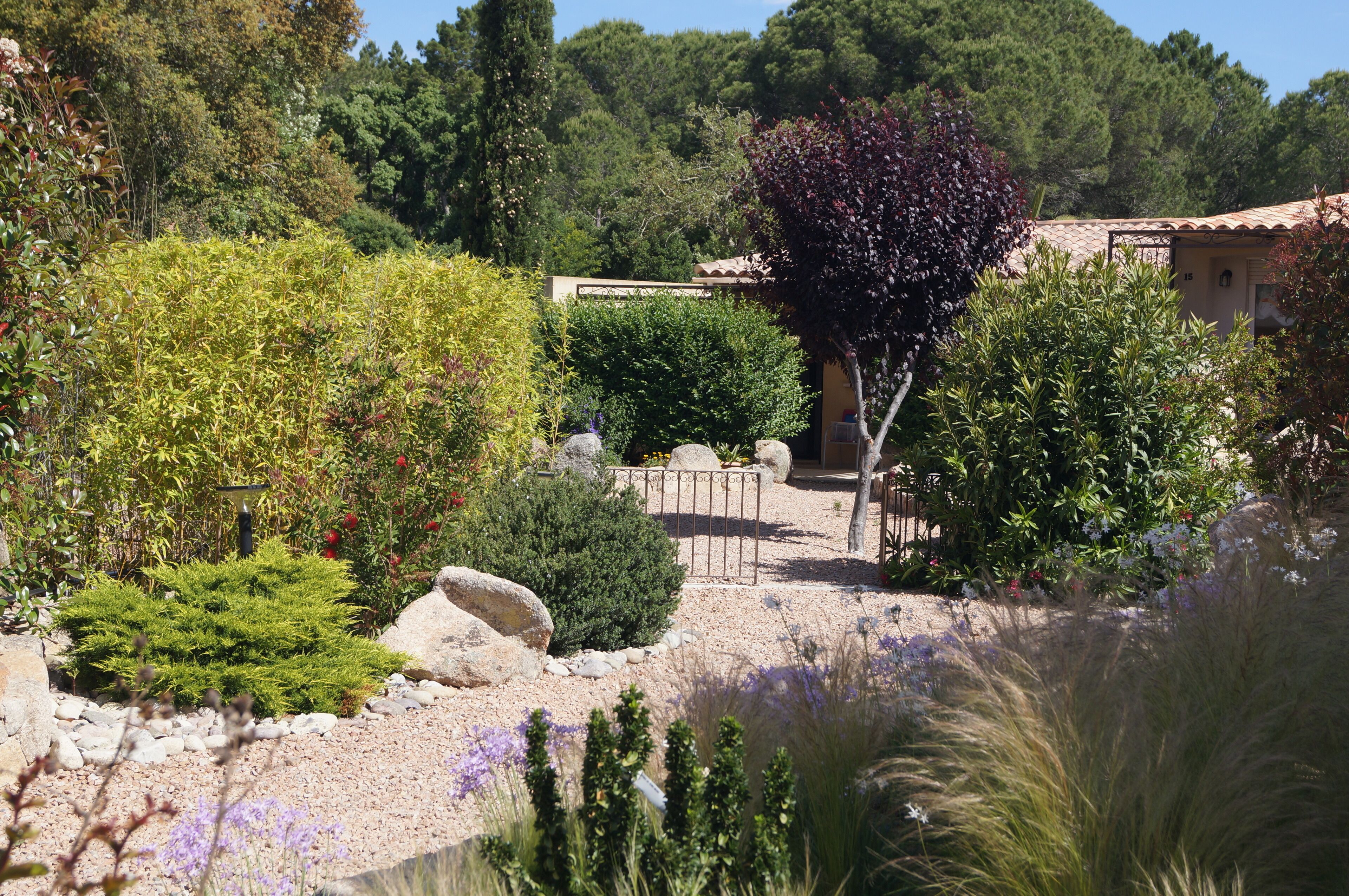 Un giardino con diverse piante e un piccolo edificio.