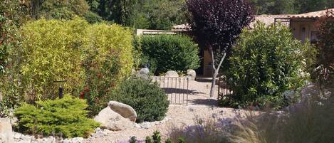 A garden with various plants and a small building.