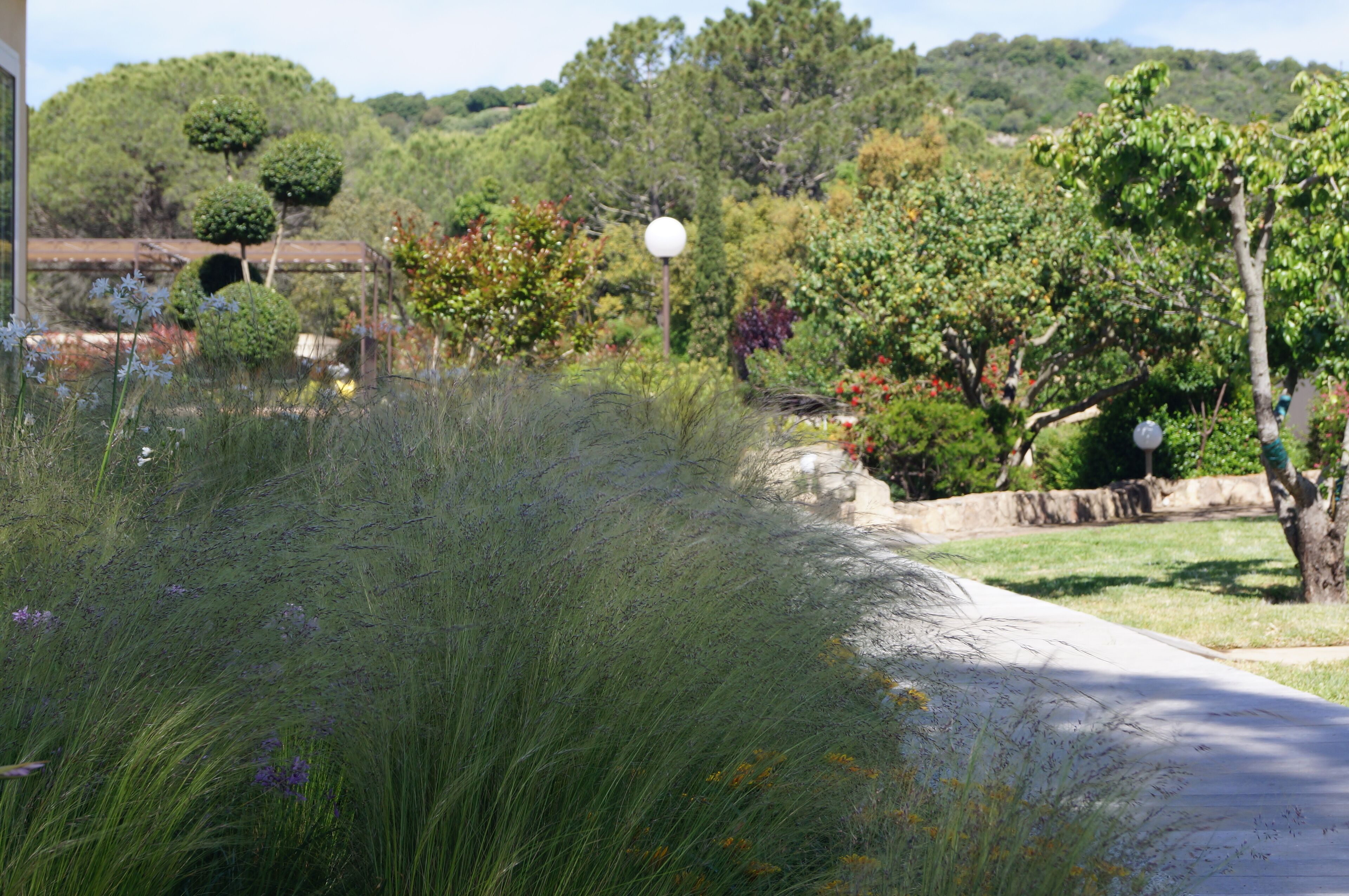 Un jardin aménagé avec des allées, des haies soigneusement taillées et une variété d’arbres et d’arbustes.