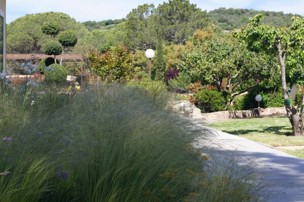 A landscaped garden with a pathway, neatly trimmed hedges, and a variety of trees and shrubs.