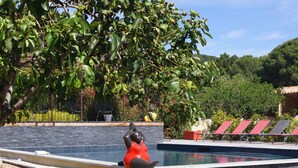 A swimming pool with a sculpture, surrounded by greenery and a stone wall.