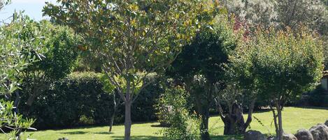 Áreas de la propiedad