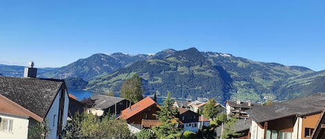 A residential area with houses, a clear sky, and mountains in the background.