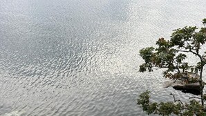 Una terraza de madera con vista a un cuerpo de agua tranquilo, con rocas claras en el fondo.