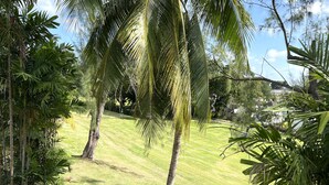 Un jardin luxuriant, avec des palmiers et une pelouse bien entretenue.