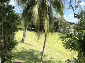 Property grounds - Rockley Orange Hill - by ZenBreak (Rendezvous)