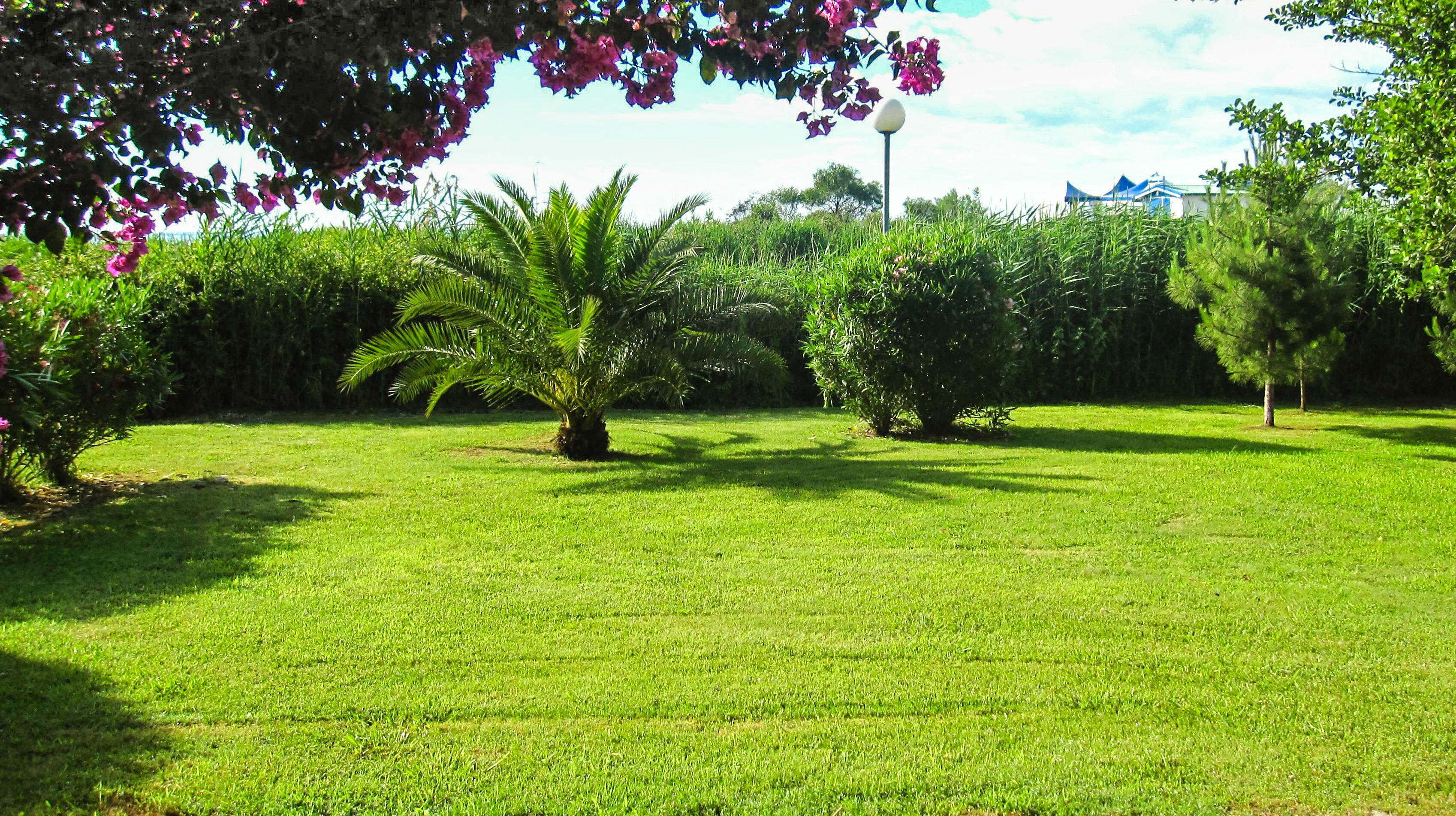 Une zone verdoyante bien entretenue, agrémentée de plusieurs palmiers et de plantes à fleurs.