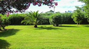 Àrea exterior de l'allotjament