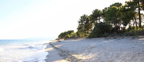 Strand