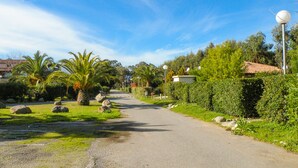 Un chemin pavé bordé d’une végétation luxuriante, notamment de palmiers et de haies, mène à un bâtiment surmonté d’un toit recouvert de tuiles rouges.